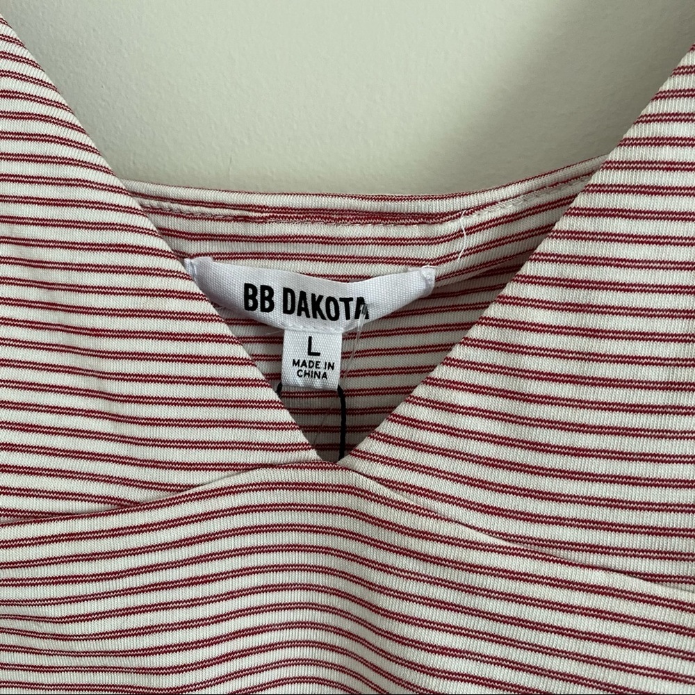BB Dakota Striped Crop Top - Picture 4 of 4
